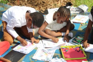 Article : ADINKRA:  Bonifier la formation des enfants  par les oeuvres africaines de jeunesse .
