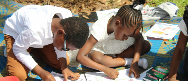 Article : ADINKRA:  Bonifier la formation des enfants  par les oeuvres africaines de jeunesse .
